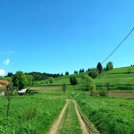 Guest house Gostynna Rodyna Izki