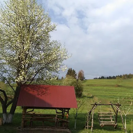 Guest house Gostynna Rodyna 3*