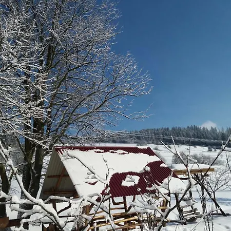 Guest house Gostynna Rodyna