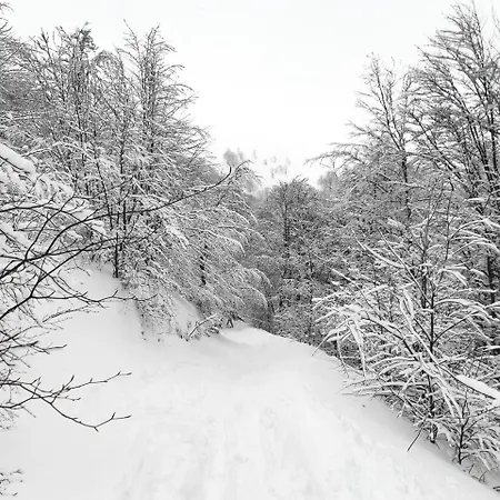 Gostynna Rodyna Ізки