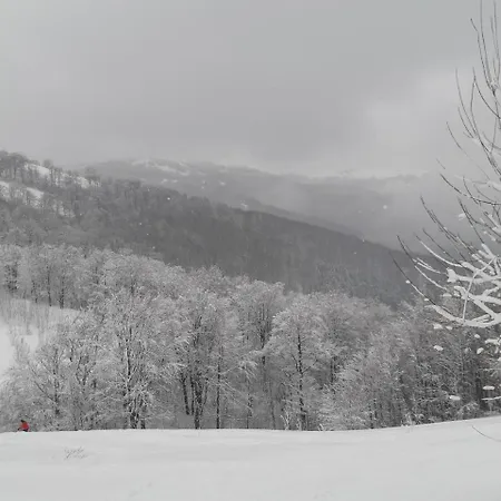 Gostynna Rodyna 3* Izky