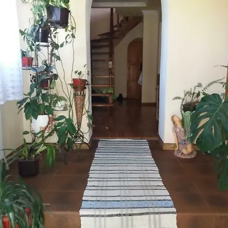 Gostynna Rodyna 3* Izky