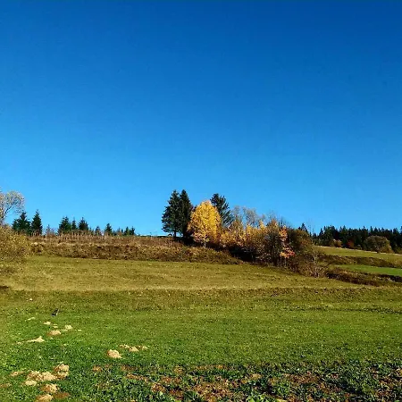 Gostynna Rodyna *