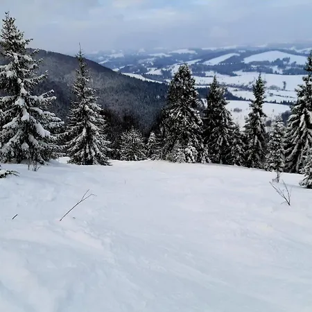 Gostynna Rodyna Casa de hóspedes Izki