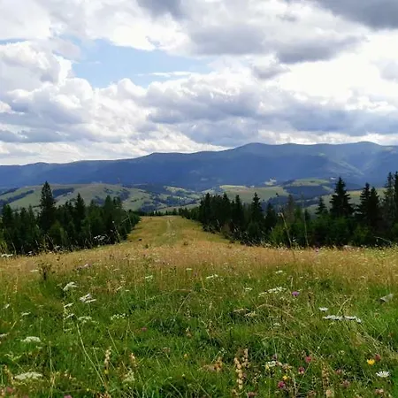 Gostynna Rodyna 3*