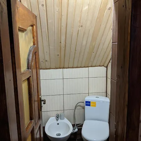 Casa de hóspedes Gostynna Rodyna Izki